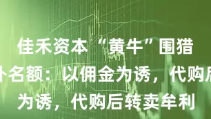 佳禾资本 “黄牛”围猎大学生国补名额：以佣金为诱，代购后转卖牟利