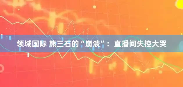 领域国际 熊三石的“崩溃”：直播间失控大哭